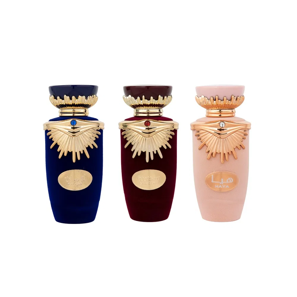 Klasik Odunsu Parfüm 100 ml – Kalın Cam Şişede, 8-12 Saat Kalıcı Koku - 5